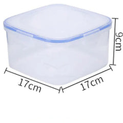 Fresh Lunch Container